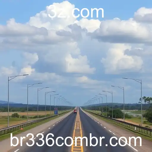 Impacto da BR-336 na Economia e Sustentabilidade